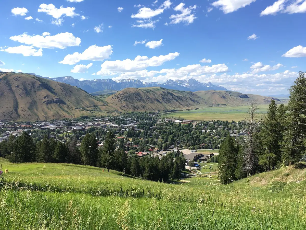 Jackson Hole Real Estate 