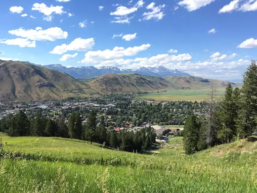 Jackson Hole Real Estate