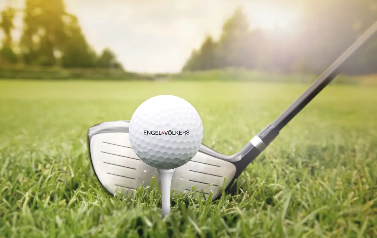 EV-golf-ball-club-new