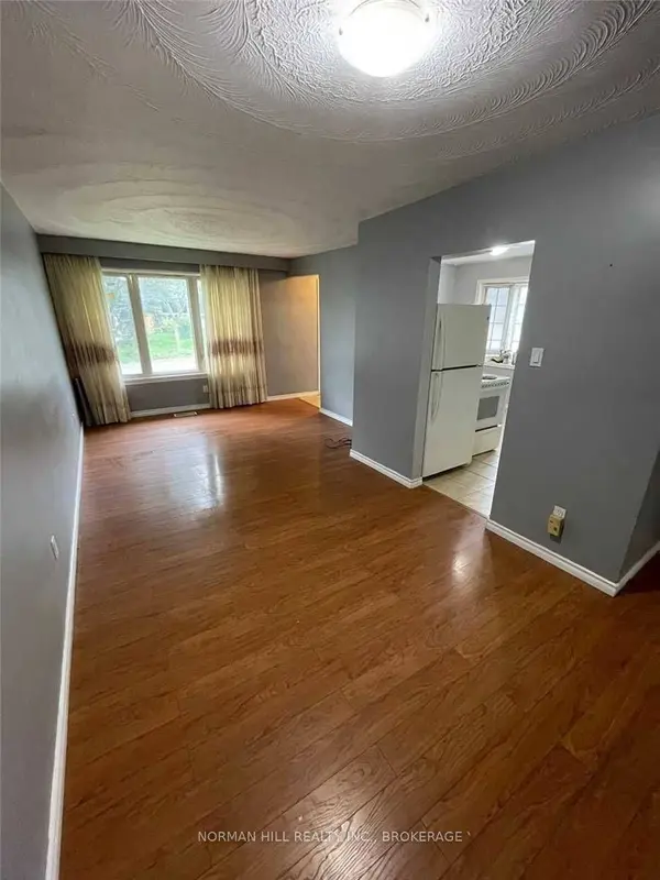 124 Septonne AVE #Main, Newmarket, ON L3Y 2W3