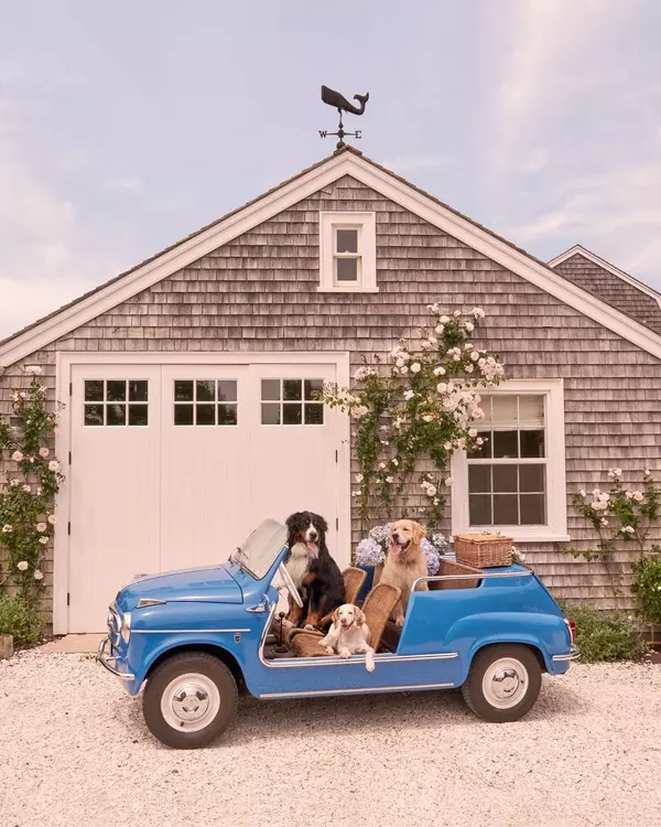 5cd45bcd8bf41c533b25195b02cd1535