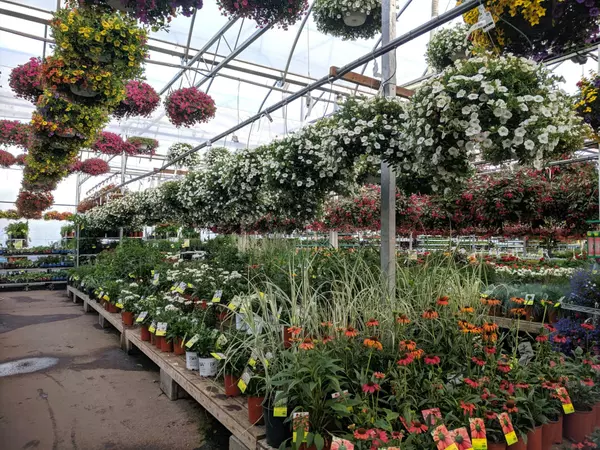 The Best Plant Nurseries in Tucson: Where to Grow Your Green Thumb