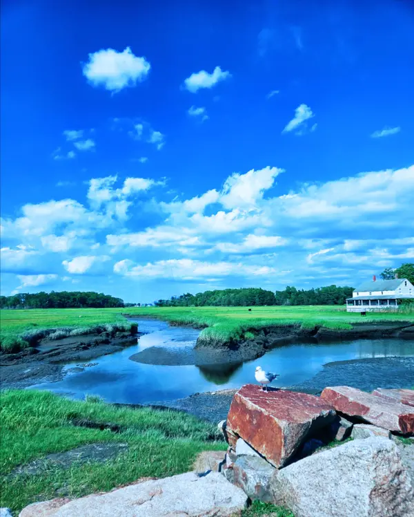 Essex MA _25-06-22_16-20-15-447