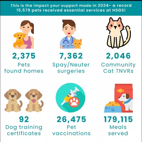 feature image of Dog Rescues in Savannah: Why &#39;Adopt, Don’t Shop&#39; Matters More Than Ever