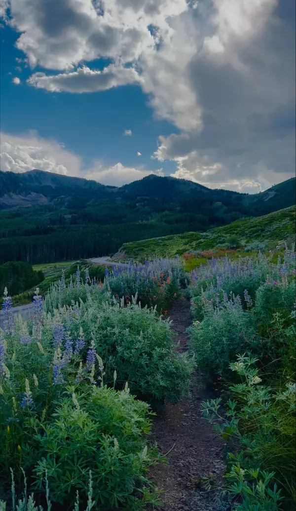 The Importance of Nurturing Our Nervous System: Mindful Living in the Mountains