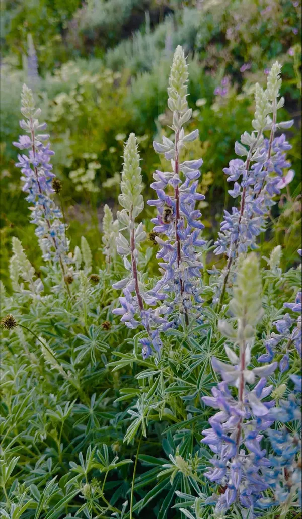 feature image of Park City’s Hidden Gems: Plant Nurseries, Farm Stands, and Boutiques You’ll Love