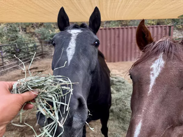 Live Your Luxury: Why Park City Is the Ultimate Second-Home Destination