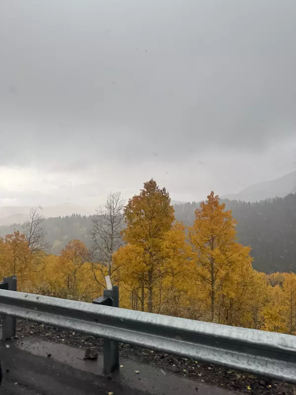 feature image of Farm-to-Table Living: How Park City’s Food Scene Embraces Fresh, Local Flavors