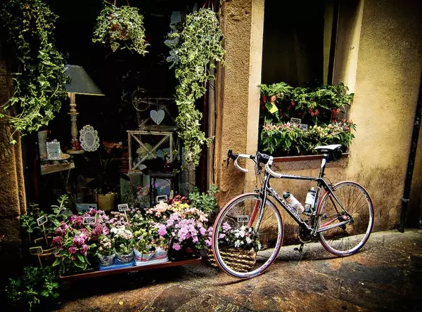 Pedal-Powered Adventures: Exploring the Best Biking Trails in Northwest Arkansas