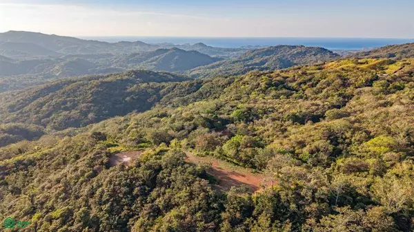 Terreno Andres, Nicoya, 50207