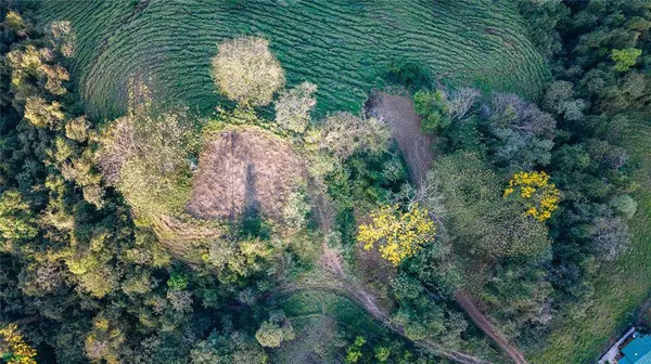 Lote Vista Verde Belen, 50207