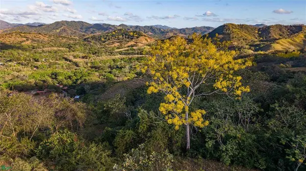 Lote Vista Verde Belen, 50207