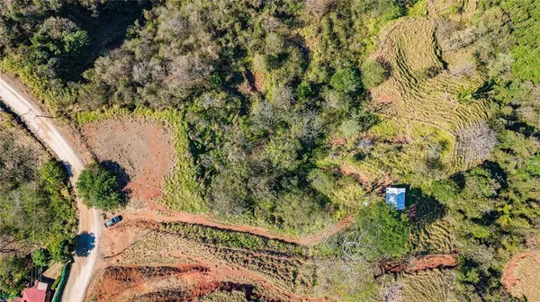 Finca Vista Clara, 50207