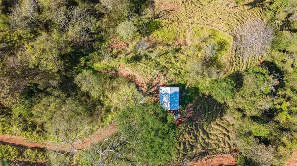 Finca Vista Clara, 50207