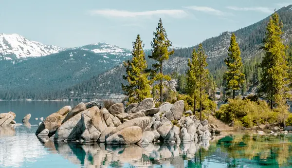 Screenshot 2026-01-21 at 10.22.10 AM