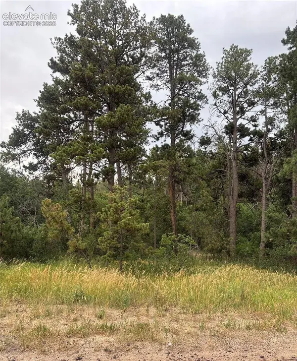 1455 Blueberry Hills Road, Monument, CO 80132