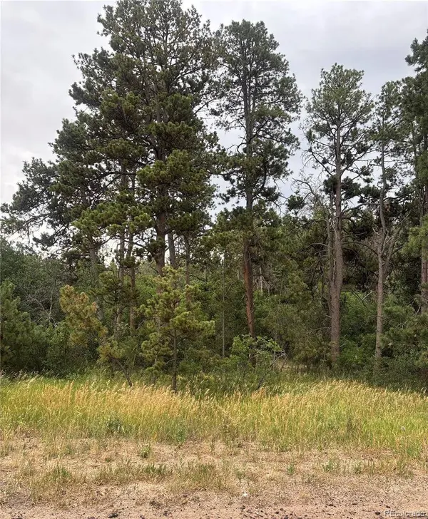1455 Blueberry Hills RD, Monument, CO 80132
