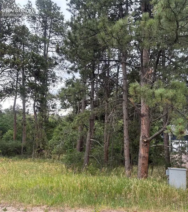 1455 Blueberry Hills Road, Monument, CO 80132