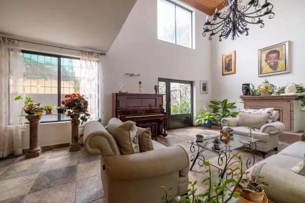 San Miguel De Allende, MX,Bugambilias