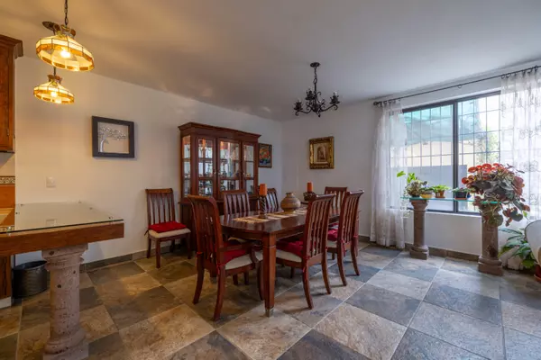 San Miguel De Allende, MX,Bugambilias