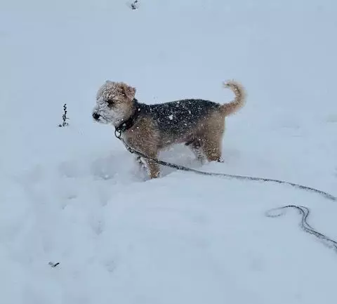 How to Get Your Home Ready for Winter: A Cozy Guide,Elizabeth Pullman
