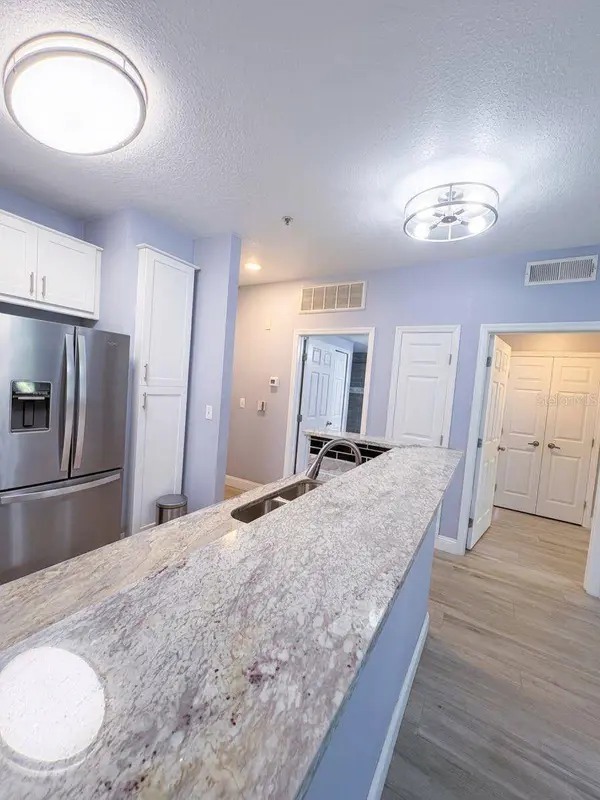 1810 E PALM AVE #5208, Tampa, FL 33605