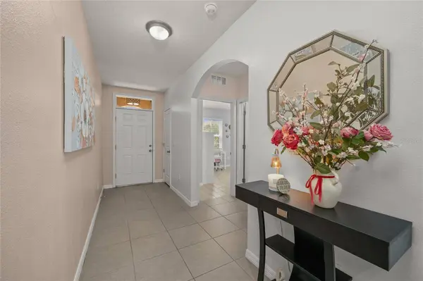 10607 PARK MEADOWBROOKE DR, Riverview, FL 33578