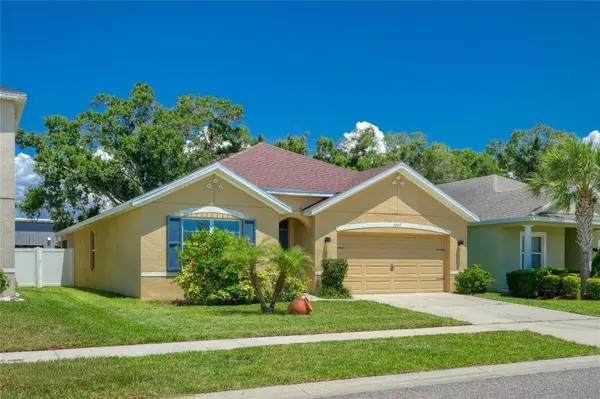 10607 PARK MEADOWBROOKE DR, Riverview, FL 33578