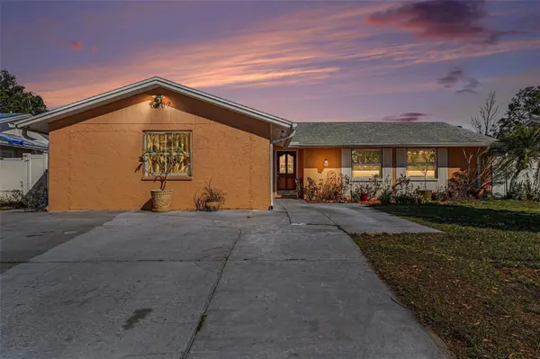 6807 DICKINSON CT, Tampa, FL 33634