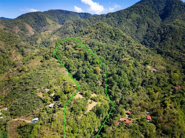Finca Talamanca, Rivas, 11904