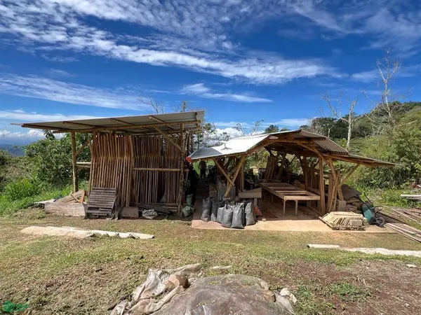 Finca Bellon | Chirripo, Rivas, SanJose 11904