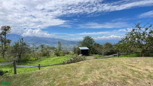Finca Bellon | Chirripo, Rivas, SanJose 11904
