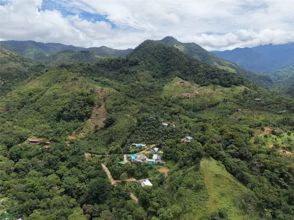 Lumina Lot | 2,375m²