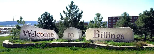 Who Is the Best Real Estate Agent in Billings, MT? Here’s Why Alex Morgan Stands Out,