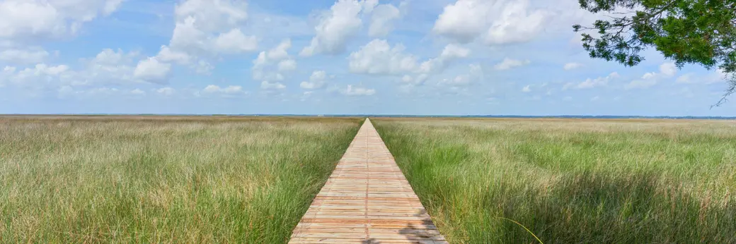 Best Neighborhoods on St. Simons Island: A Local Real Estate Guide