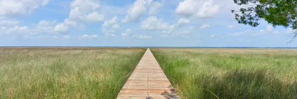 Best Neighborhoods on St. Simons Island: A Local Real Estate Guide