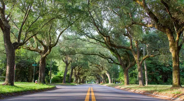 East Hill Pensacola: Is It Worth the Hype? (A Local Realtor’s Honest Take),Sean Killingsworth