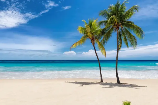 Out-of-State Buyers Guide to Pensacola