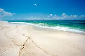 Insurance Costs in Pensacola Florida,Sean Killingsworth