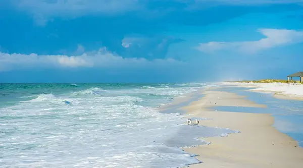 Pensacola Housing Inventory Explained,Sean Killingsworth