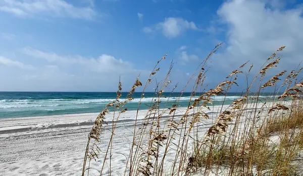 How to Find Deals in Pensacola