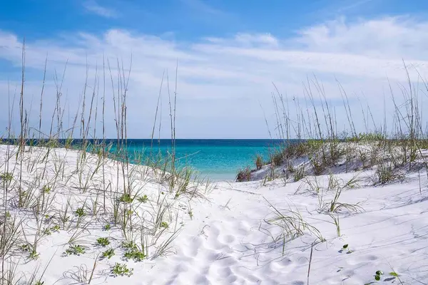 Winters in Pensacola Florida