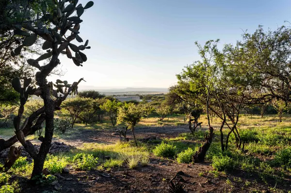 La Reserva 24, San Miguel De Allende,