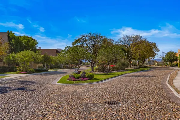 Premium Vineyard Estate Lot
