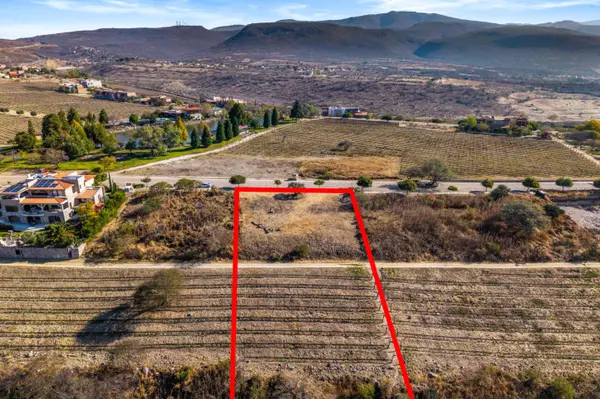 Premium Vineyard Estate Lot