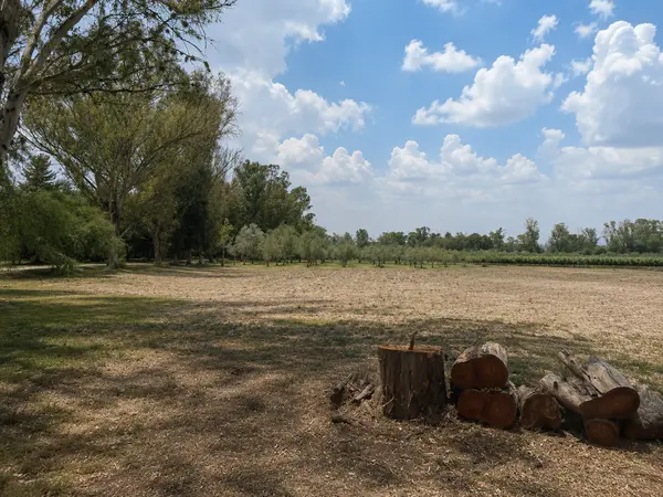 Lote San Lucas
