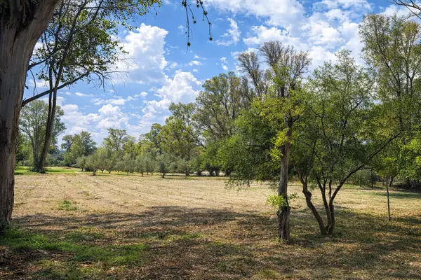 Lote San Lucas