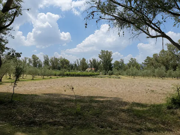 Lote San Lucas