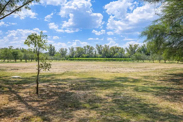 Lote San Lucas