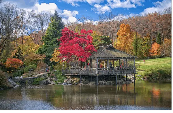 feature image of Spring Into the DMV: Top Family Saturdays in Maryland &amp; DC